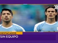 05 columna deportiva