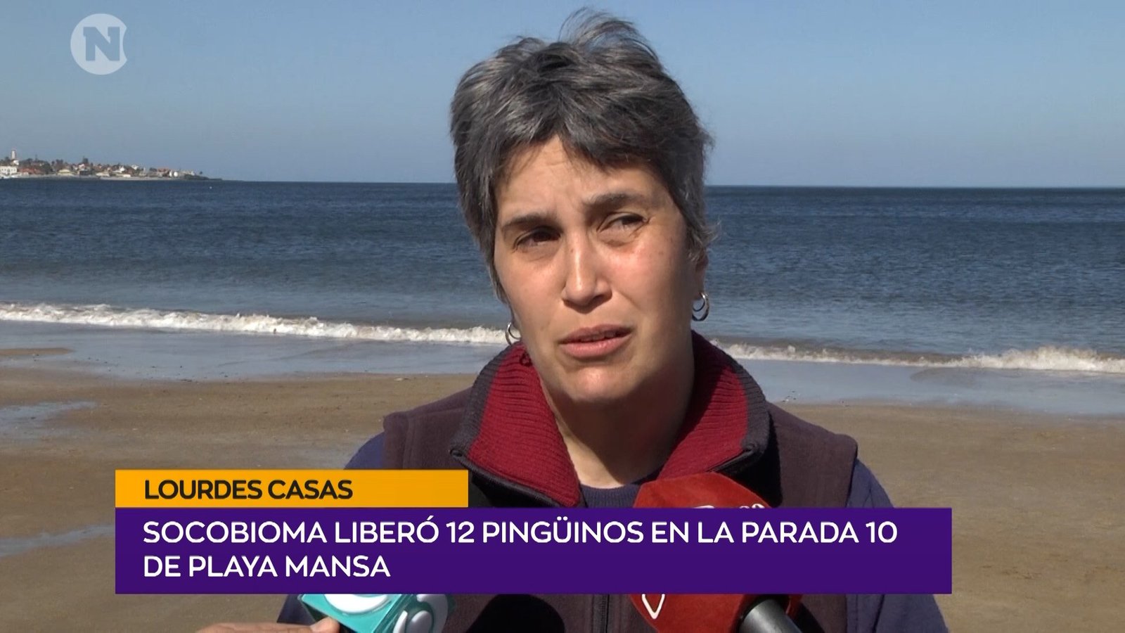 LIBERACIÓN DE PINGÜINOS Lourdes Casas Sociedad para la conservación