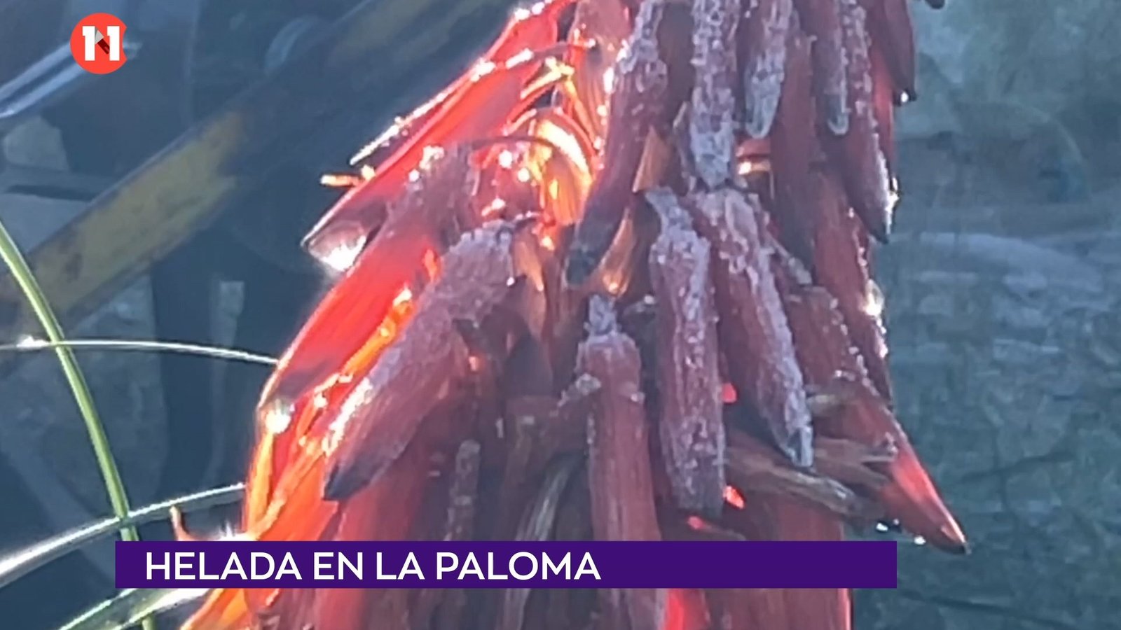 ️ Importante helada en La Paloma. Con grados bajo cero, se mantenía la