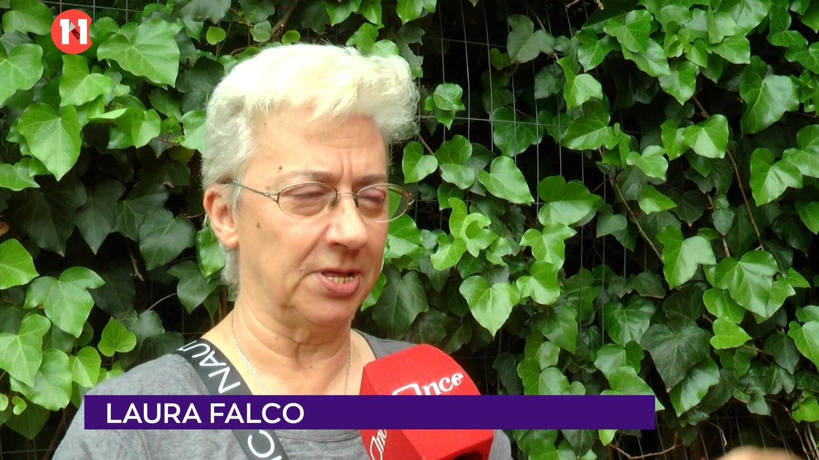  Laura Falco, Lista 1231 Agrupación Humanista Animalista Esta lista